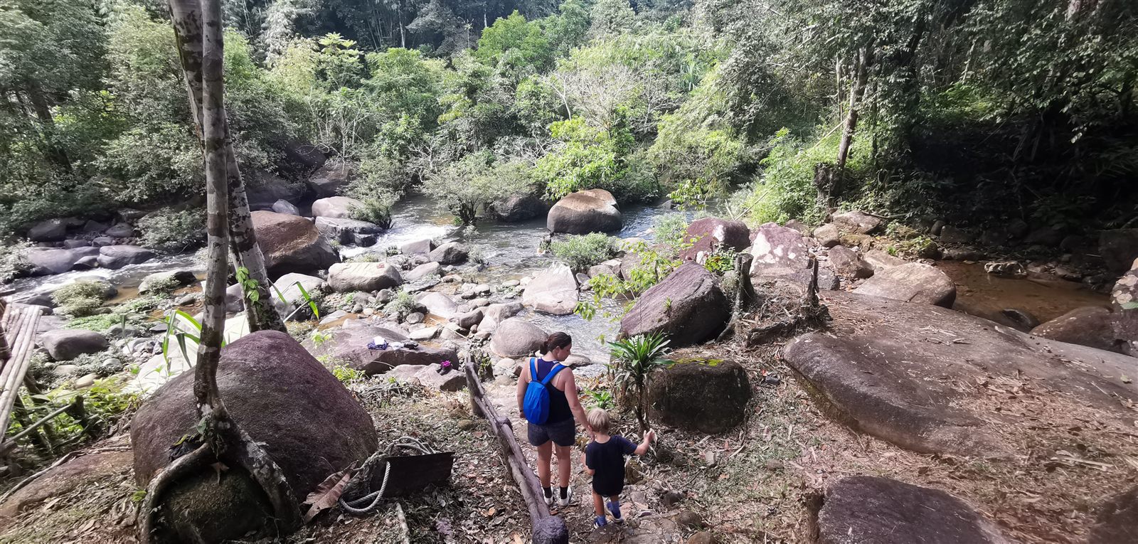 Forest trail in Khao Sok, on the walk where leeches showed up