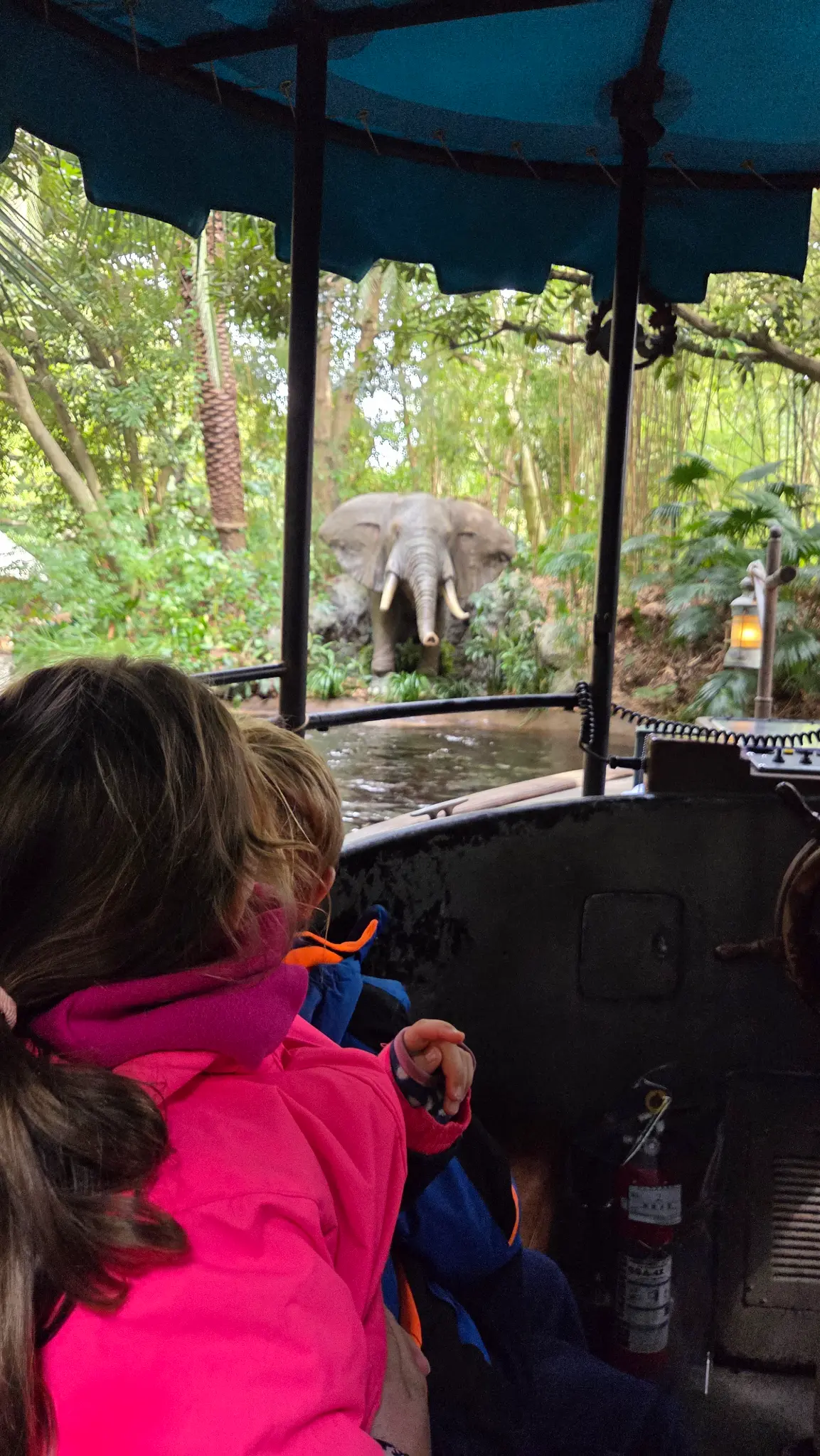 Children watching an elephant on the Jungle Cruise ride, Tokyo Disneyland